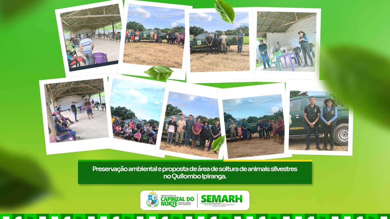 Preservação Ambiental e Proposta de Área de Soltura de Animais Silvestres no Quilombo Ipiranga